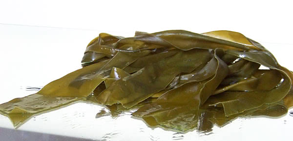 Ламинария. Морские водоросли для отменного здоровья и продления молодости.
