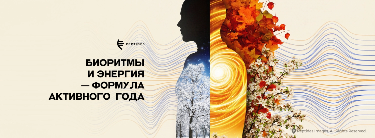 Обобщенное изображение всех средств, которые рекомендуются в статье