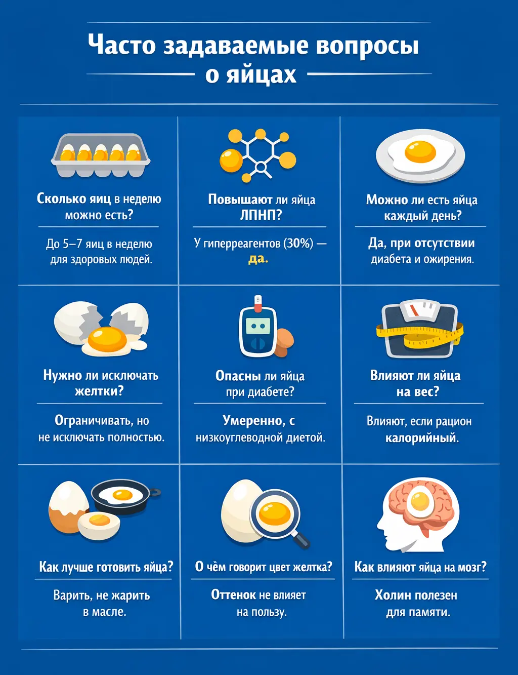 Инфографика: ответы на часто задаваемые вопросы